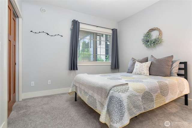 1000 High St Unit 102, Bellingham, WA 98225 - carpeted bedroom featuring baseboards
