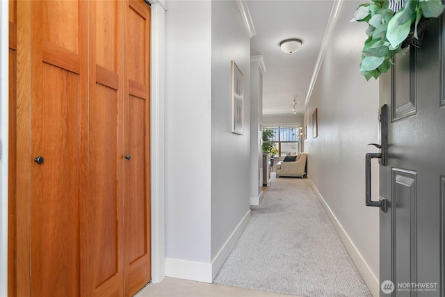 1000 High St Unit 102, Bellingham, WA 98225 - corridor with crown molding and carpet floors