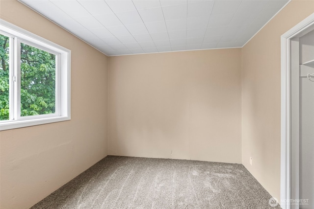 3820 Westside Hwy, Castle Rock, WA 98611 - photo 17
