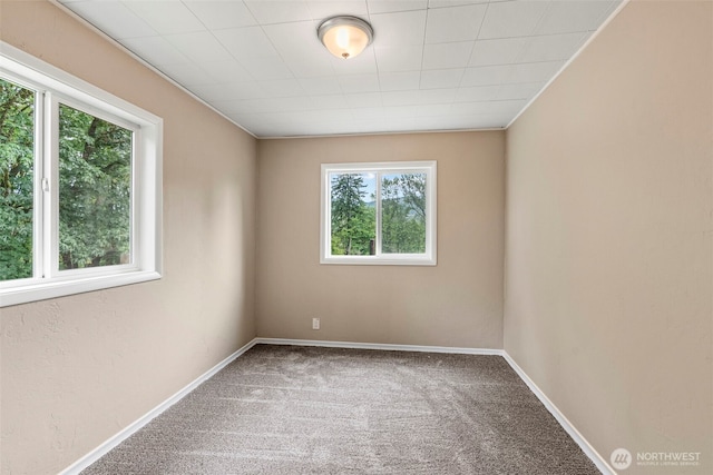 3820 Westside Hwy, Castle Rock, WA 98611 - photo 18