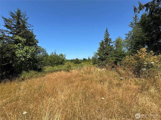 285 Guiles Rd, Sequim, WA 98382 - photo 38