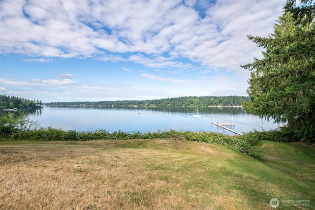 7644 Shore Acres Dr NE, Olympia, WA 98506 - photo 1