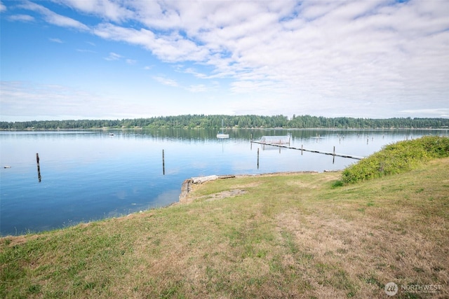 7644 Shore Acres Dr NE, Olympia, WA 98506 - photo 3