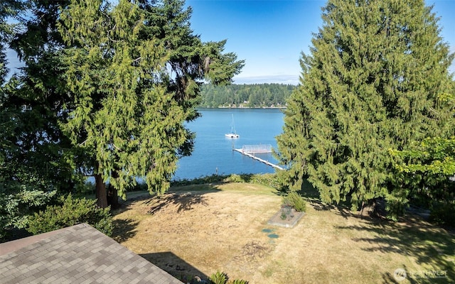 7644 Shore Acres Dr NE, Olympia, WA 98506 - photo 24