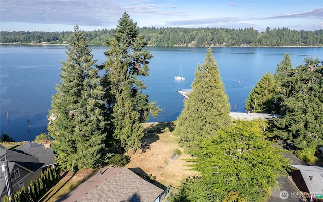 7644 Shore Acres Dr NE, Olympia, WA 98506 - photo 26