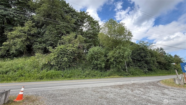 9910 Lowell Larimer Rd, Everett, WA 98208 - view of asphalt street