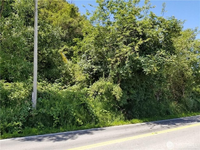 9910 Lowell Larimer Rd, Everett, WA 98208 - view of asphalt road
