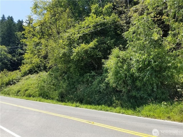 9910 Lowell Larimer Rd, Everett, WA 98208 - view of asphalt road