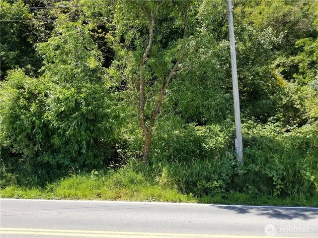 9910 Lowell Larimer Rd, Everett, WA 98208 - view of asphalt road with a forest view
