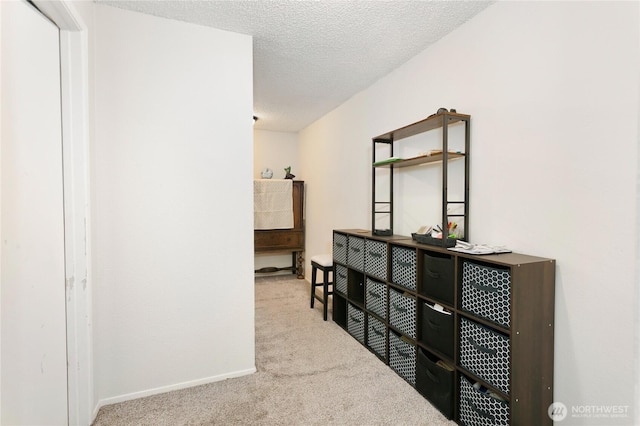 3572-3574 E F St, Tacoma, WA 98404 - hallway featuring carpet floors and a textured ceiling