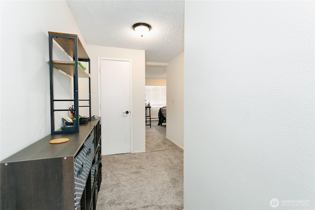 3572-3574 E F St, Tacoma, WA 98404 - hallway featuring carpet and a textured ceiling