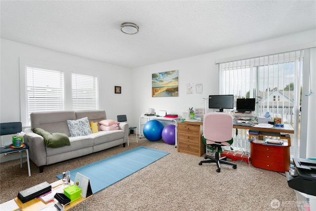 3572-3574 E F St, Tacoma, WA 98404 - office area with carpet flooring, plenty of natural light, and a textured ceiling