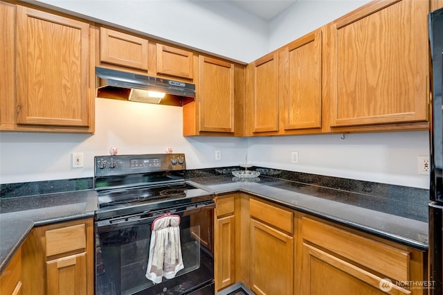 5809 Highway Pl Unit B304, Everett, WA 98203 - kitchen with black range with electric stovetop, under cabinet range hood, and dark stone countertops