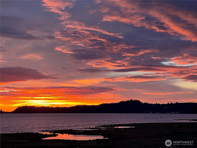 264 Stringtown Rd, Ilwaco, WA 98624 - photo 4