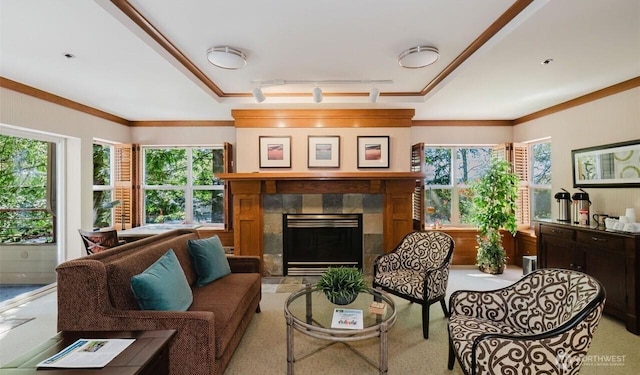 1750 152nd Ave NE Unit C310, Bellevue, WA 98007 - living room featuring a fireplace, track lighting, and crown molding