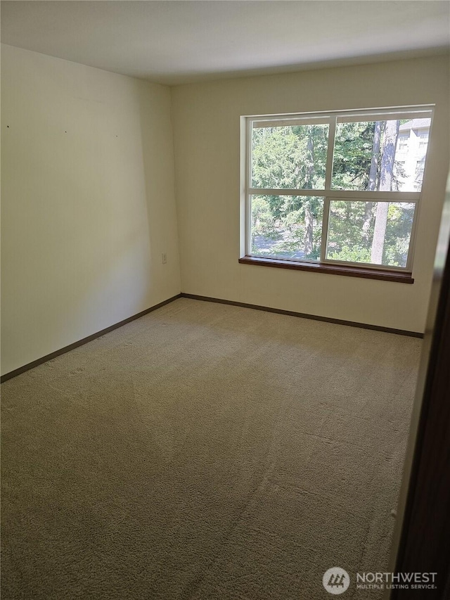 1750 152nd Ave NE Unit C310, Bellevue, WA 98007 - unfurnished room with carpet flooring and baseboards