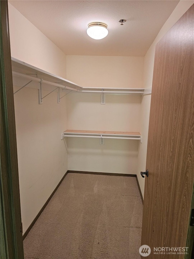 1750 152nd Ave NE Unit C310, Bellevue, WA 98007 - walk in closet featuring carpet flooring