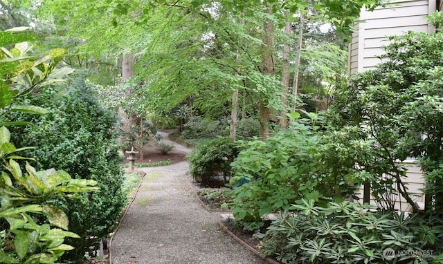 1750 152nd Ave NE Unit C310, Bellevue, WA 98007 - view of property's community