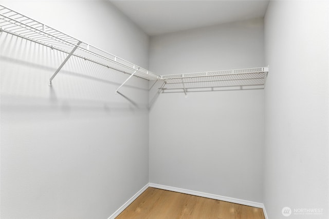 12904 159th St E, Puyallup, WA 98374 - walk in closet featuring wood finished floors