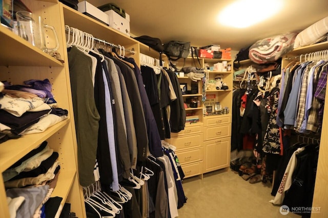 4442 Prestwick Ln SE, Lacey, WA 98513 - spacious closet featuring light colored carpet