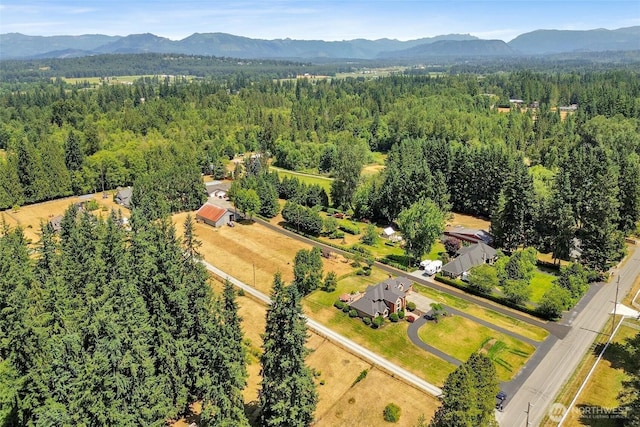 1619 188th St NE, Arlington, WA 98223 - photo 38