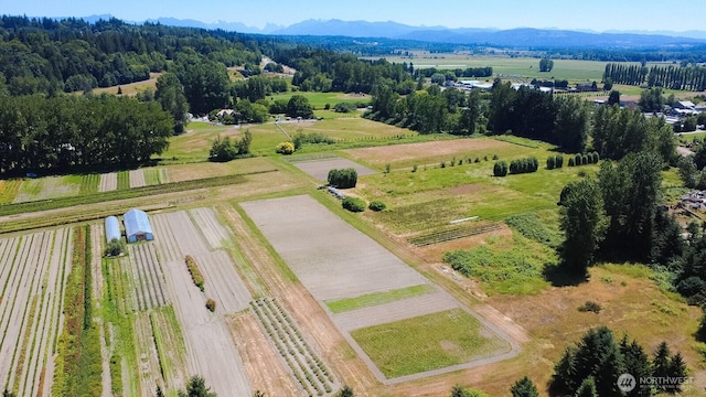 527 Cypress Ave, Snohomish, WA 98290 - overview of rural landscape with farmland and a mountainous background