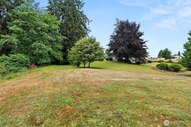 932 Minnesota St, South Bend, WA 98586 - photo 38