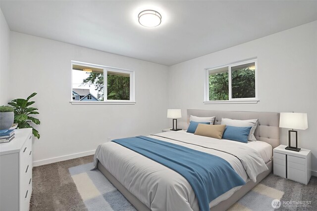 3602 59th Ave NW, Gig Harbor, WA 98335 - photo 22