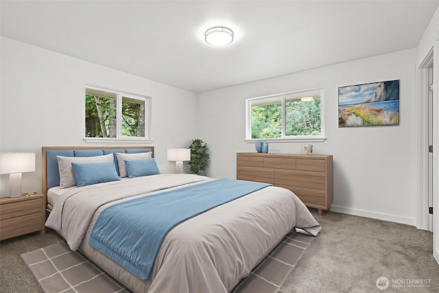3602 59th Ave NW, Gig Harbor, WA 98335 - photo 24