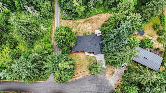 3602 59th Ave NW, Gig Harbor, WA 98335 - photo 36
