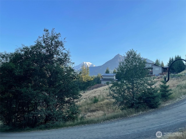 122 Hellem Dr, Packwood, WA 98361 - photo 3