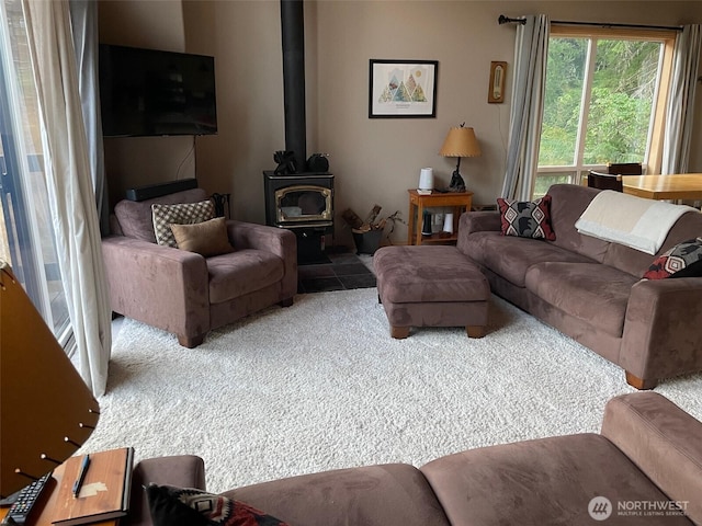 122 Hellem Dr, Packwood, WA 98361 - photo 6