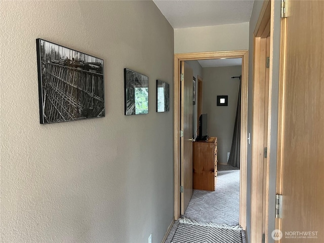 122 Hellem Dr, Packwood, WA 98361 - photo 20