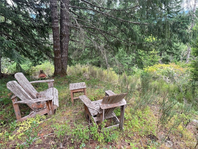 122 Hellem Dr, Packwood, WA 98361 - photo 25