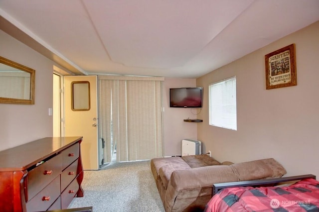 35 Branch Cir, Deming, WA 98244 - view of carpeted bedroom