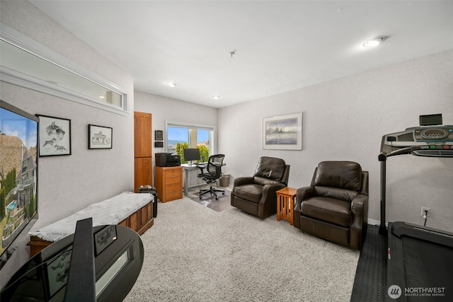 591 Daniels Dr NE, East Wenatchee, WA 98802 - home office featuring light colored carpet