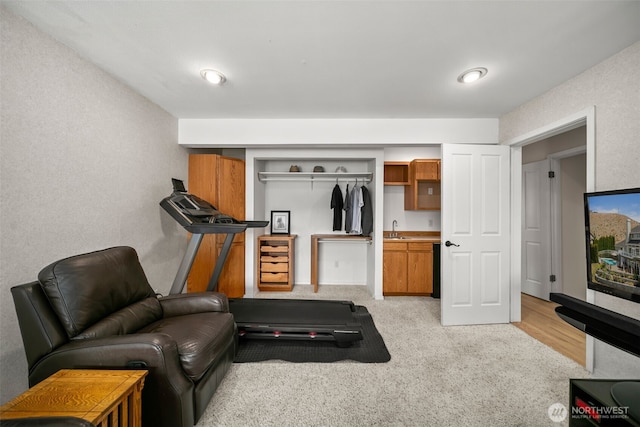 591 Daniels Dr NE, East Wenatchee, WA 98802 - exercise area with a sink and carpet floors