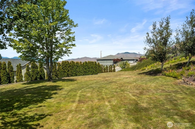 591 Daniels Dr NE, East Wenatchee, WA 98802 - view of green lawn with a mountain view