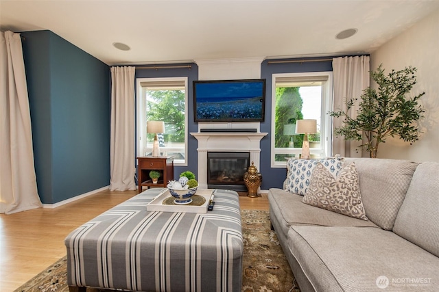 120 Cascadia Loop, Sequim, WA 98382 - living room with wood finished floors, plenty of natural light, and a glass covered fireplace