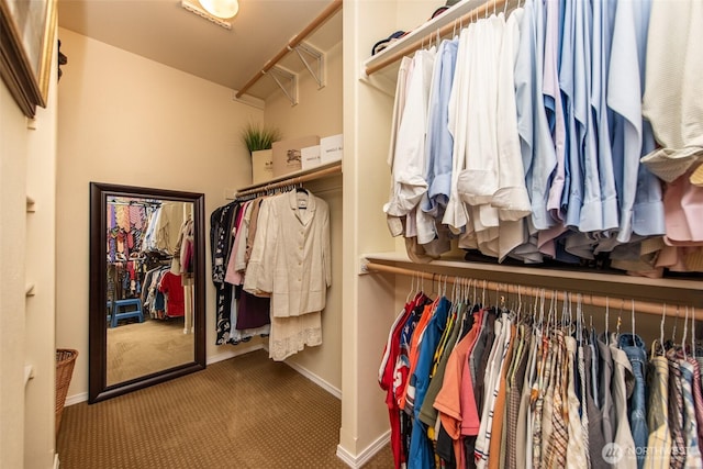 120 Cascadia Loop, Sequim, WA 98382 - spacious closet featuring carpet