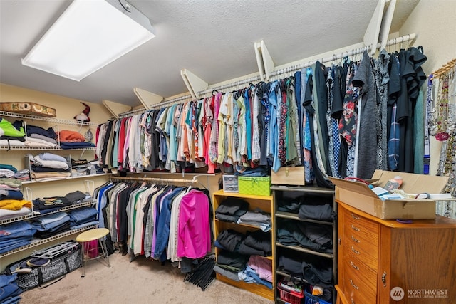 4610 N Defiance St, Tacoma, WA 98407 - spacious closet featuring carpet