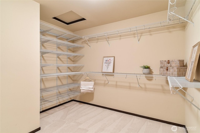 16128 120th Ave NE, Bothell, WA 98011 - walk in closet featuring carpet