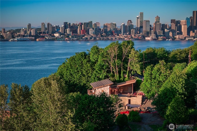 1019 California Ln SW, Seattle, WA 98116 - photo 12