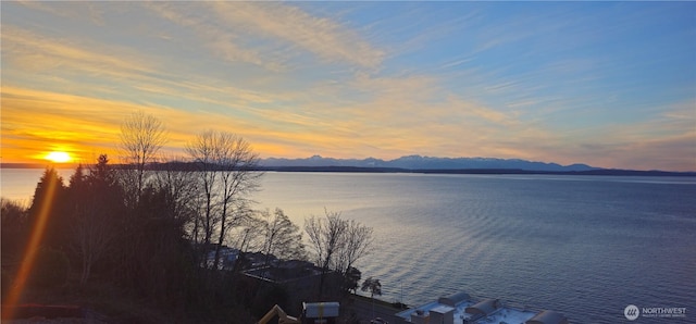 1019 California Ln SW, Seattle, WA 98116 - photo 17