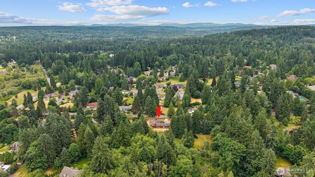 19024 NE 155th St, Woodinville, WA 98072 - photo 6