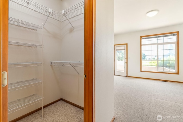 114 Twin Sister Loop, Lynden, WA 98264 - view of walk in closet