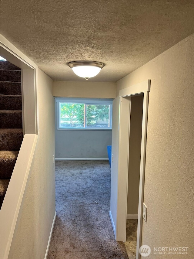 9117 SW Winona St, Lakewood, WA 98498 - photo 13