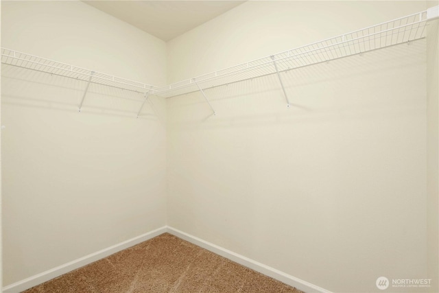 28515 76th Dr NW, Stanwood, WA 98292 - walk in closet with carpet flooring