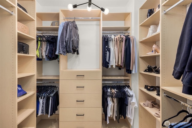 14646 35th Ct NE, Lake Forest Park, WA 98155 - view of walk in closet