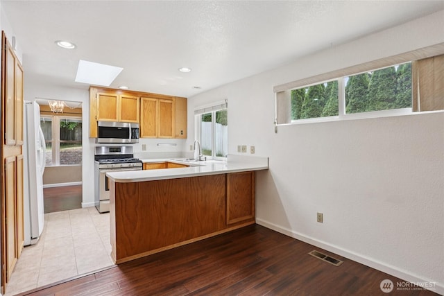 13940 113th Ave NE, Kirkland, WA 98034 - kitchen featuring appliances with stainless steel finishes, a skylight, a peninsula, light countertops, and light wood-style flooring